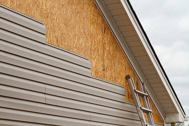 Professional Emergency Siding Repair technician working in Randolph, MN